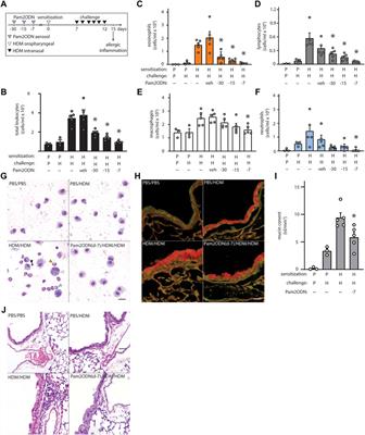 Epithelial immunomodulation by aerosolized Toll-like receptor agonists prevents allergic inflammation in airway mucosa in mice